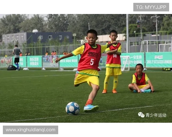 平博足球官网如何进行足球投注技巧策略与风险控制分享